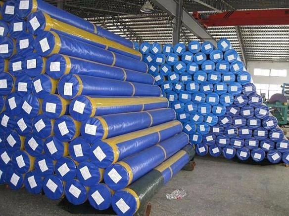 korea technology cheap price pe tarpaulin roll