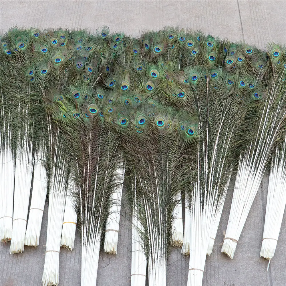Big Eyes Peacock Feathers Pure Natural