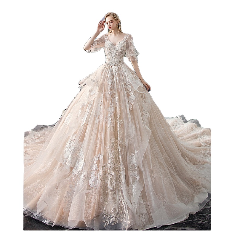 Luxury Champagne Lace V Neck Vestido De Noiva Bridal Plus Size Wedding Dress