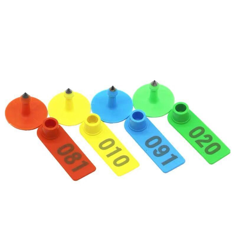 Cattle Use Plastic TPU Material animal aser marking ear tag for pig,cattle and sheep for farm management