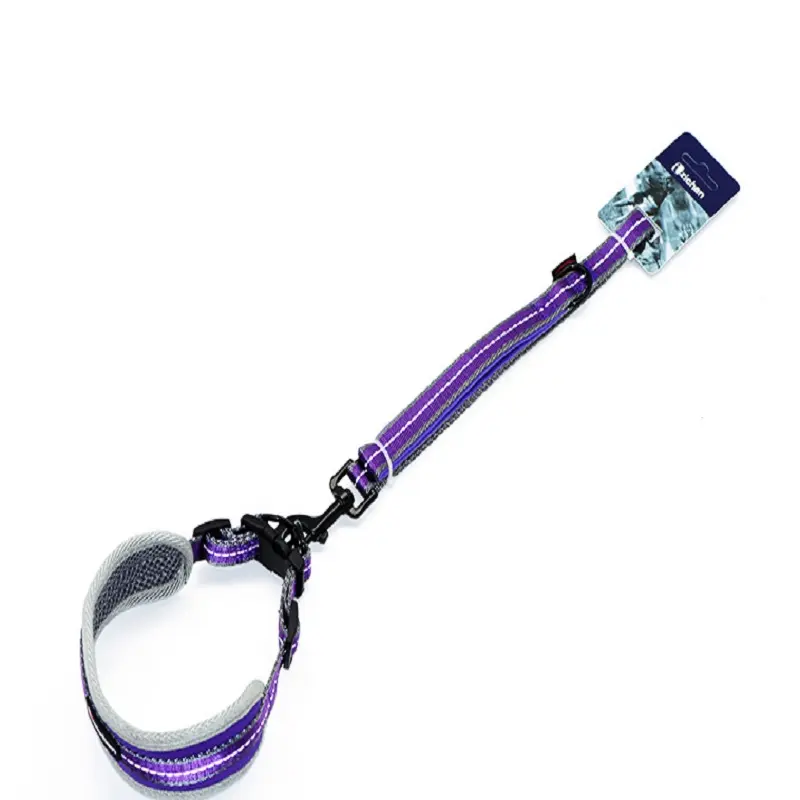 Saiji multiple styles colors pet supplies lead durable adjustable custom nylon dog leash and collar set