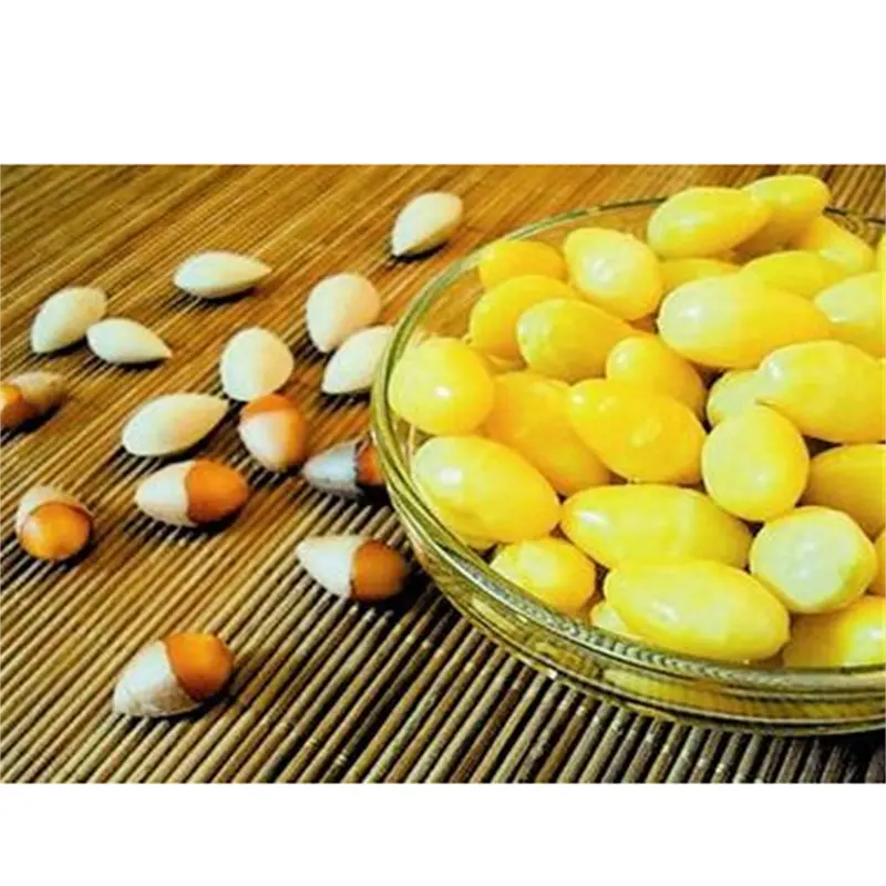 Wholesale   Best Grade 1/6 Hot sales Wholesale Best Price Dried Ginkgo Nuts Quality Ginkgo Nuts For Sale