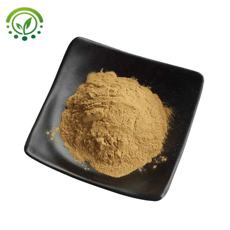Natural Quillaja Saponaria Extract Quillaja Saponaria Bark Extract powder