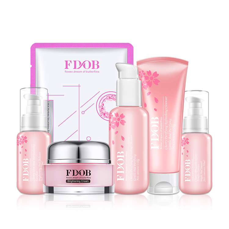 Skincare manufacturer Skincare OEM custom skin care set natural organic private label skincare set