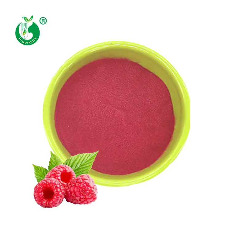 Pincredit Wholesale Price Natural Dried Raspberry Juice Powder
