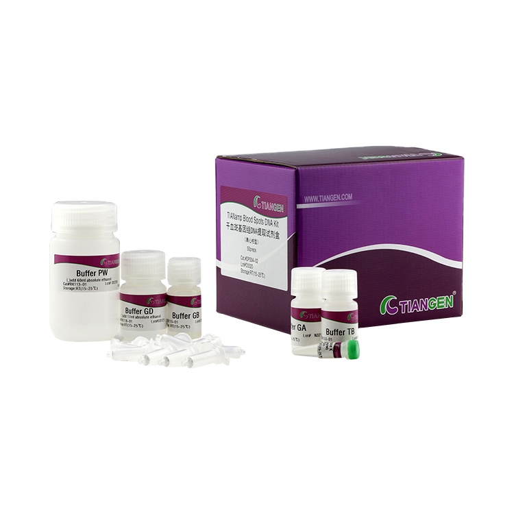 Professional blood spot DNA extraction kit Spin column based nucleic acid purification reagent