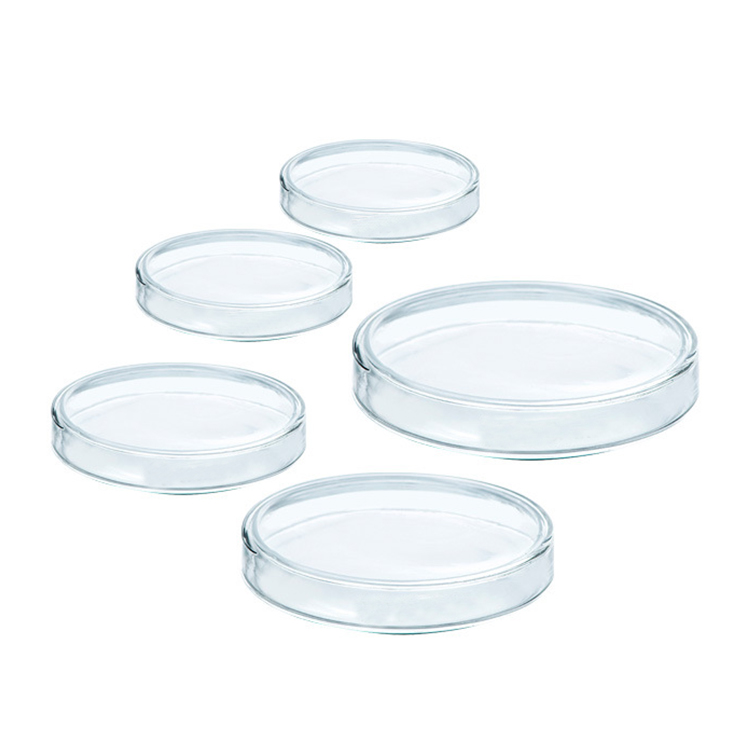 Laboratory petri dishes 60 75 90 100 120mm plastic disposable