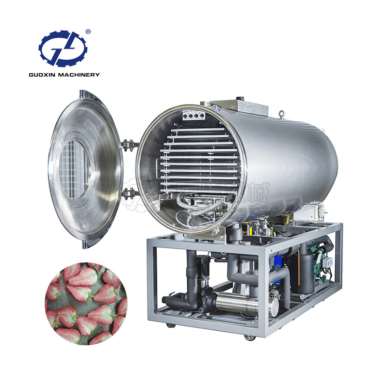 Guoxin mango/tomato drying machine dry fruit meat dryer freeze drying machine