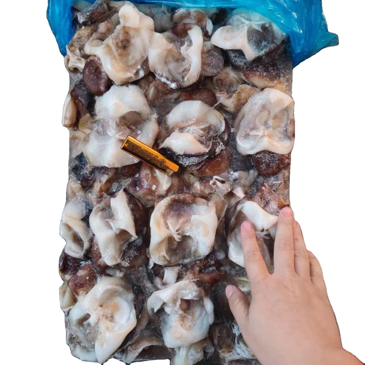 Индийский кальмар шейный каламари шейный китайский поставщик морепродуктов Dosidicus гигас кальмаровая щупальца
