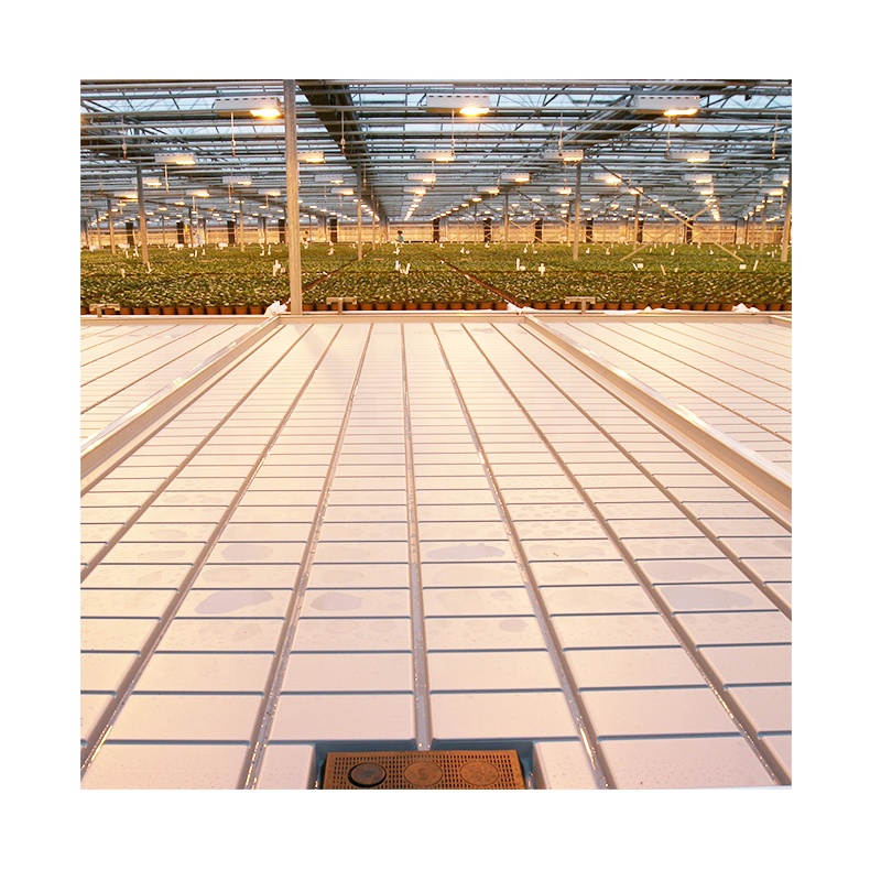 Indoor Plant ebb and flow table Rolling Drain Table Seedbed Tray For Greenhouse Growing Systems