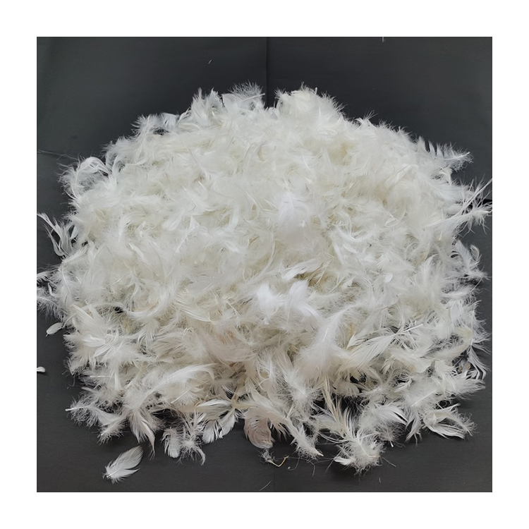 2022 wholesale high quality IDFL certified washed 2-4cm white goose feather