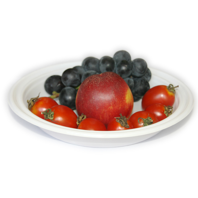 Thermoforming blister 8 inch plastic round plate PS disposable food container