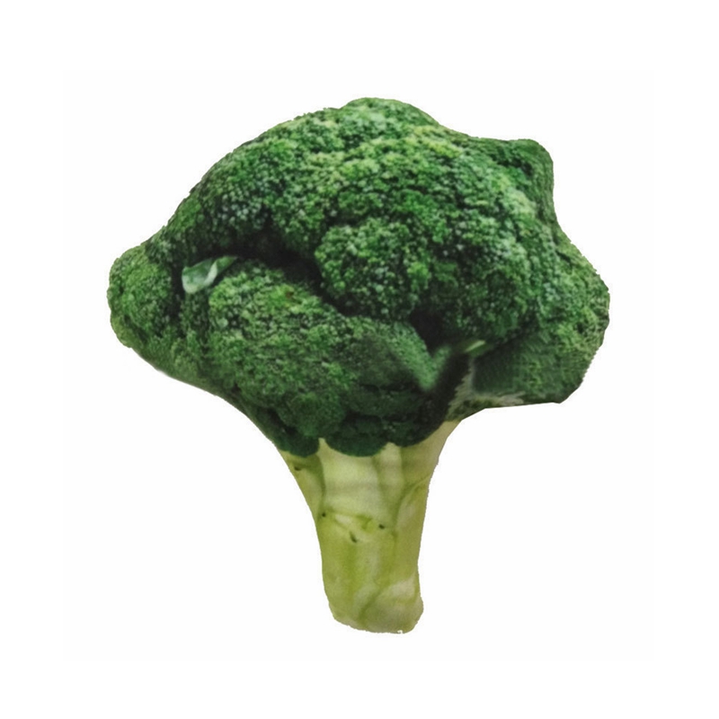 Wholesale Anti Bite Dog Toys Creative Simulation Vegetable Drumstick Toy Puppy Pet Play Chew Toys