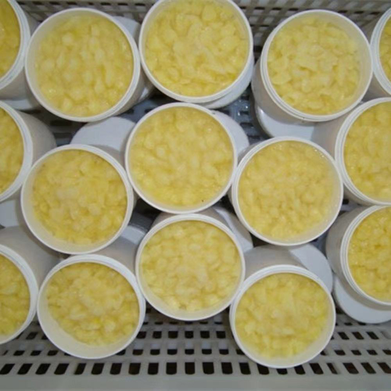 Popular Factory Supplier Honey Royal Jelly 1kg Honey Bulk royal jelly price For Drink