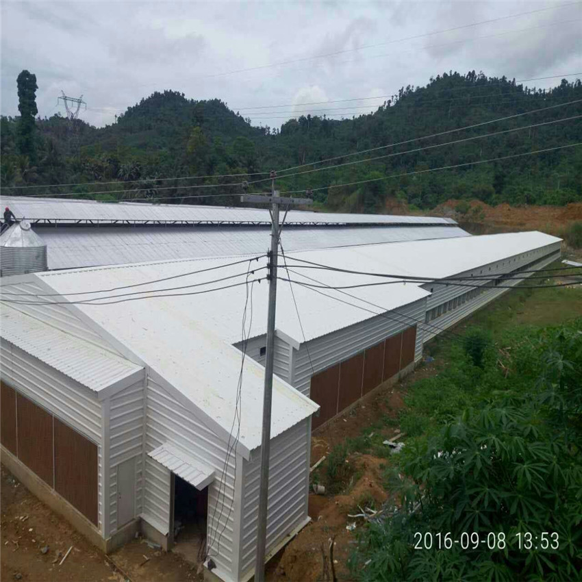 Hangars для цыплят, стальная рама, конструкция, конструкция, сборная птица, цыплята, корова, ферма, строительные сараи, птицефабрика