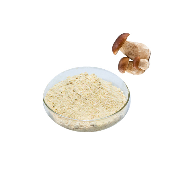 pure nature turkey tail mushroom powder organic mushroom powder shiitake mushroom powder