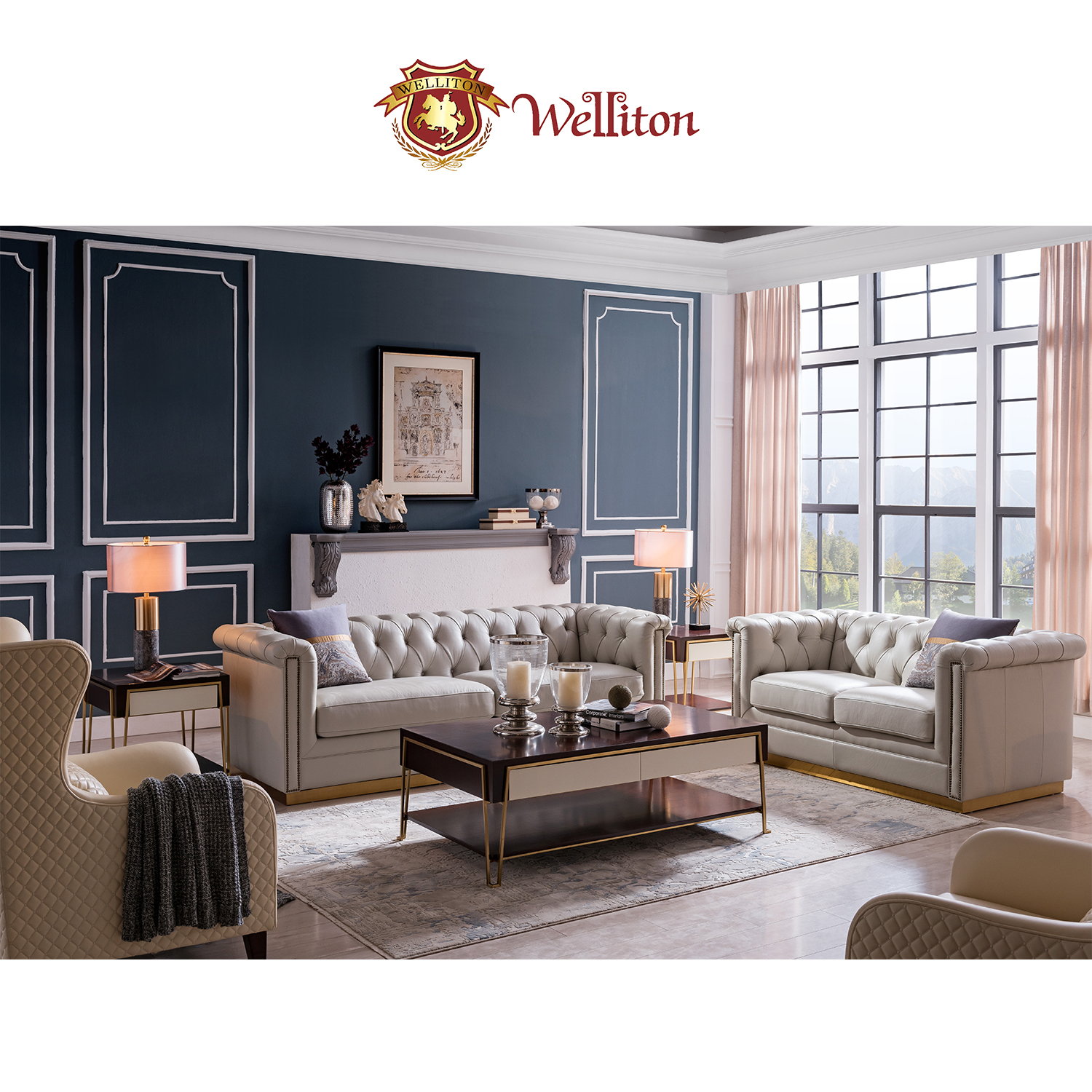 Welliton OEM & ODM X801-33 кожаный диван наборы для жилой комнаты, современный стиль небольшой Aparment роскошных диванов, X801-33 дизайн мебели
