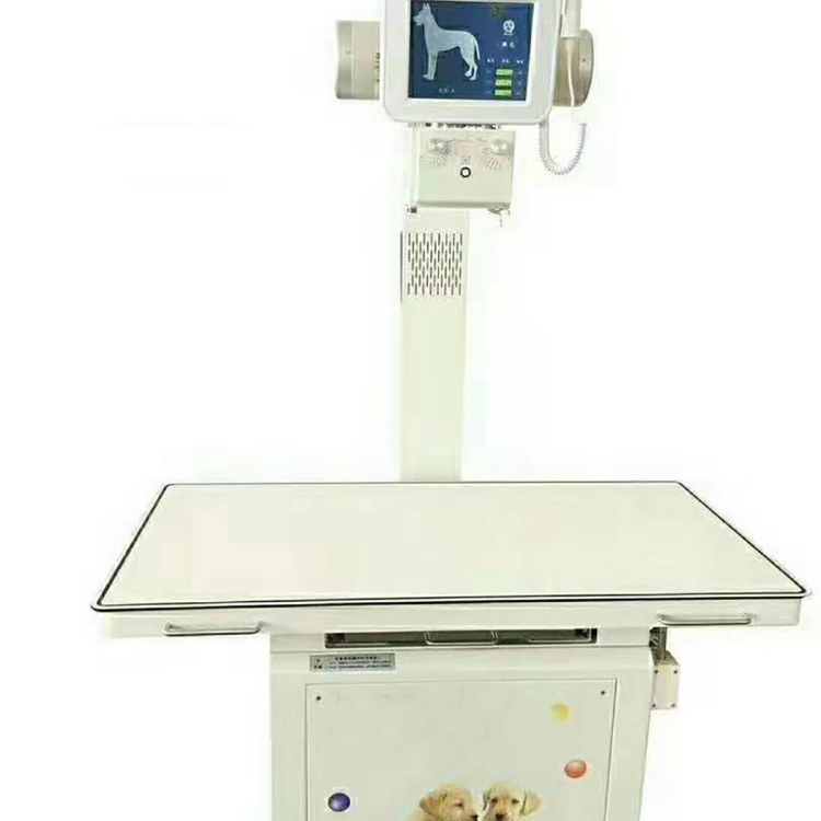 Digital High Image veterinary portable DR System Medical Diagnostic X-Ray Equipment MSLVX22