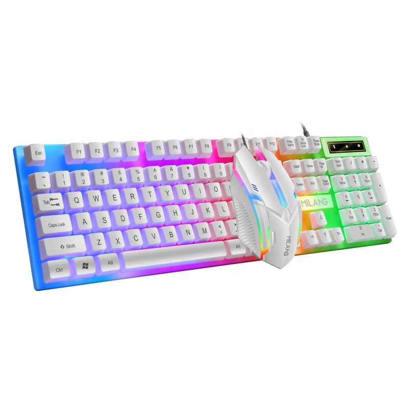 2021 Free Shipping Rainbow Backlit Wired Keyboard And Mouse Set