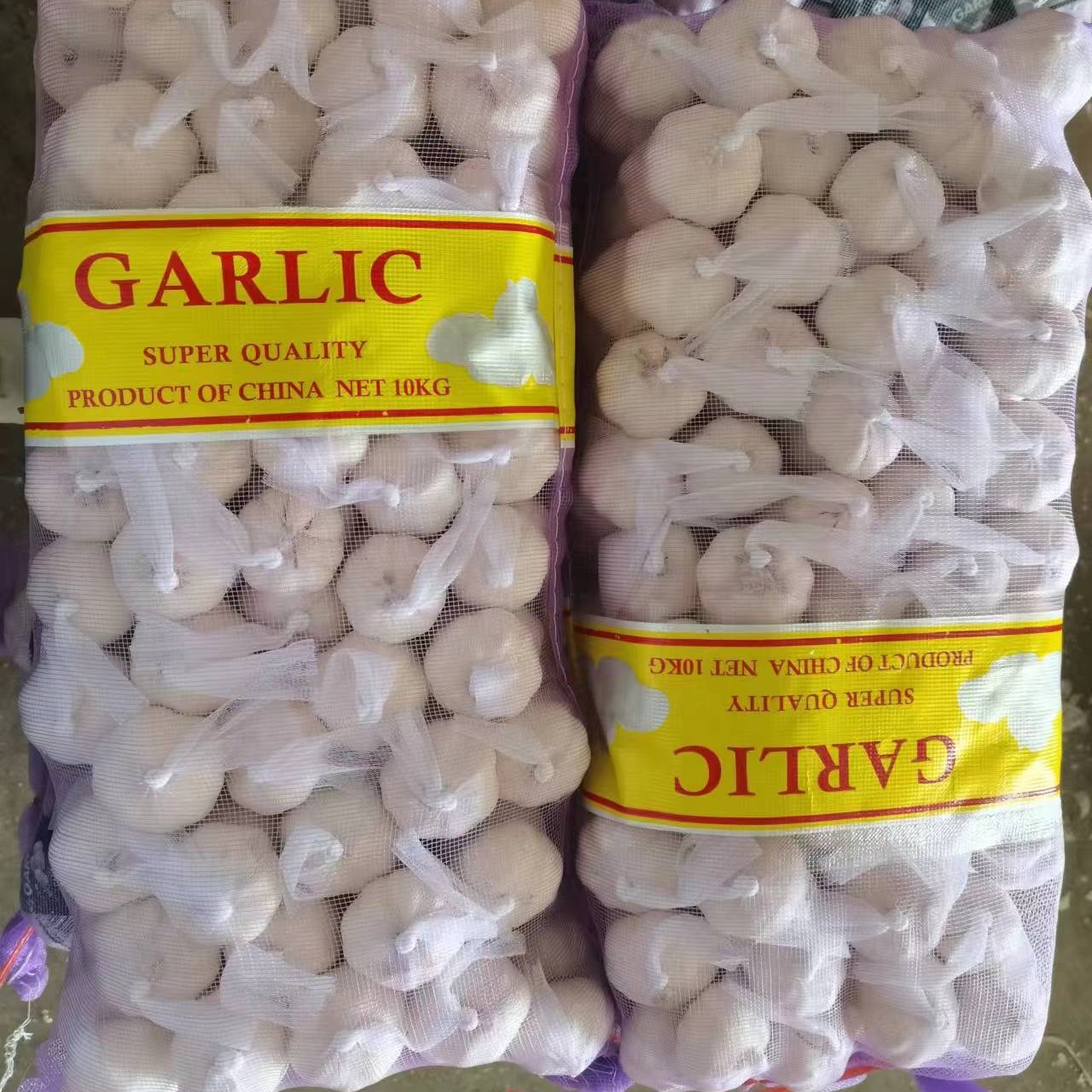 fresh garlic Chinese new crop ail supply as garlic normal white and pure white alho ajo from wholesale garlic manufacturer
