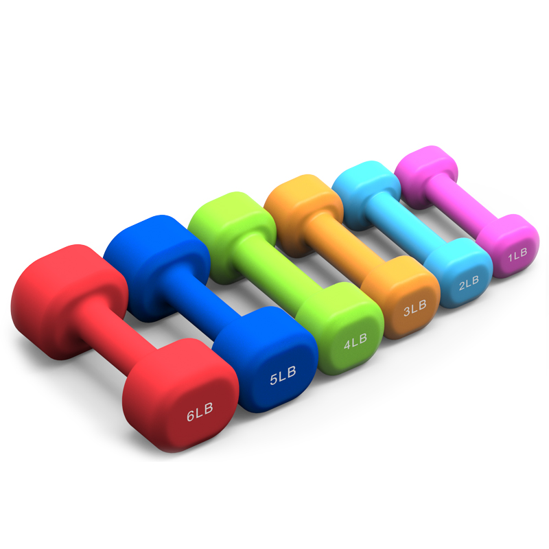 High Quality Gym Power Workout Training Equipment Cast Iron Dumbbell Free Weight Neoprene Rubber Hex Dumbbell