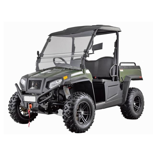 Сельскохозяйственный босс 14 кВт электрический UTV 4x4 для охоты