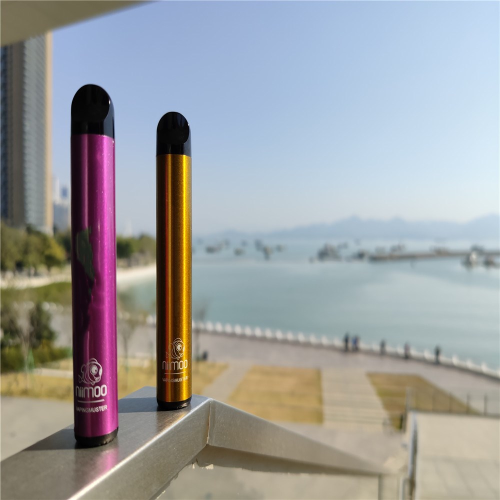 Niimoo 2021 hotsale high quality vape pen vaporizer Proprietary customized OEM available pod