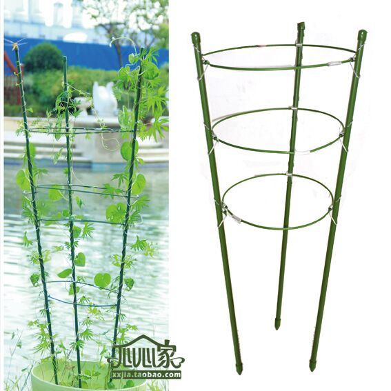 green wrought iron garden sign stakes support wire plant support vine net