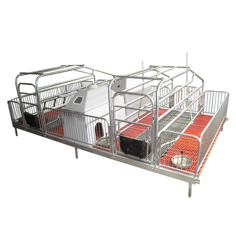 hot galvanized pig gestation crate stall pen sow stall