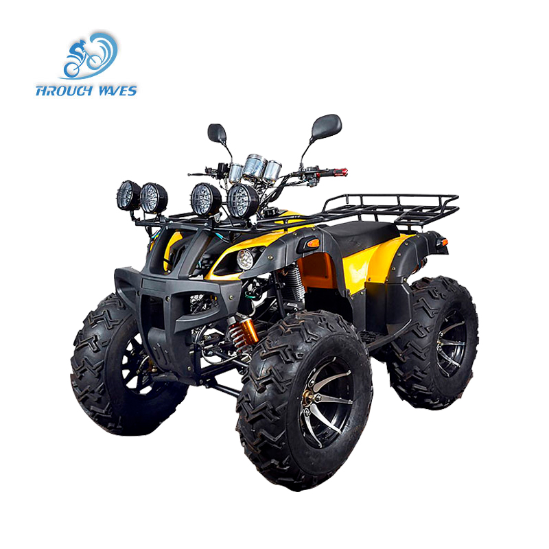 China Factory Direct Selling Gasoline 200cc 4 Stroke Chain Drive Four Wheelers 2 Seater Atv Side By Side Sideadult Utv