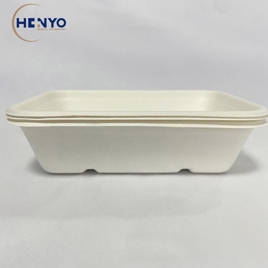 600ml Compostable Food Container Take Away Box Disposable Squae Box