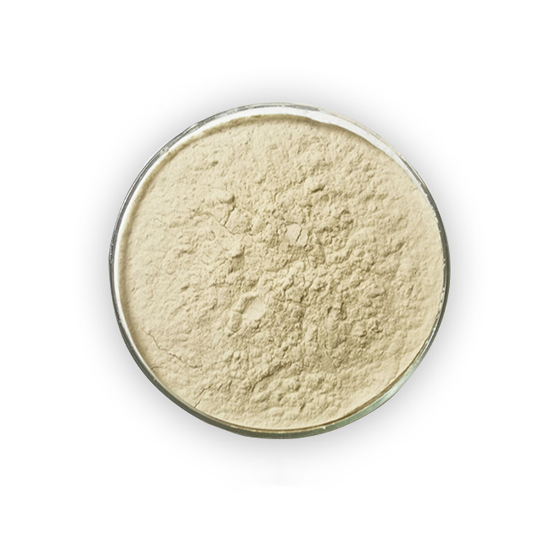 Original Factory Healthcare Supplement Butyric Acid Vitamin Clostridium Butyricum