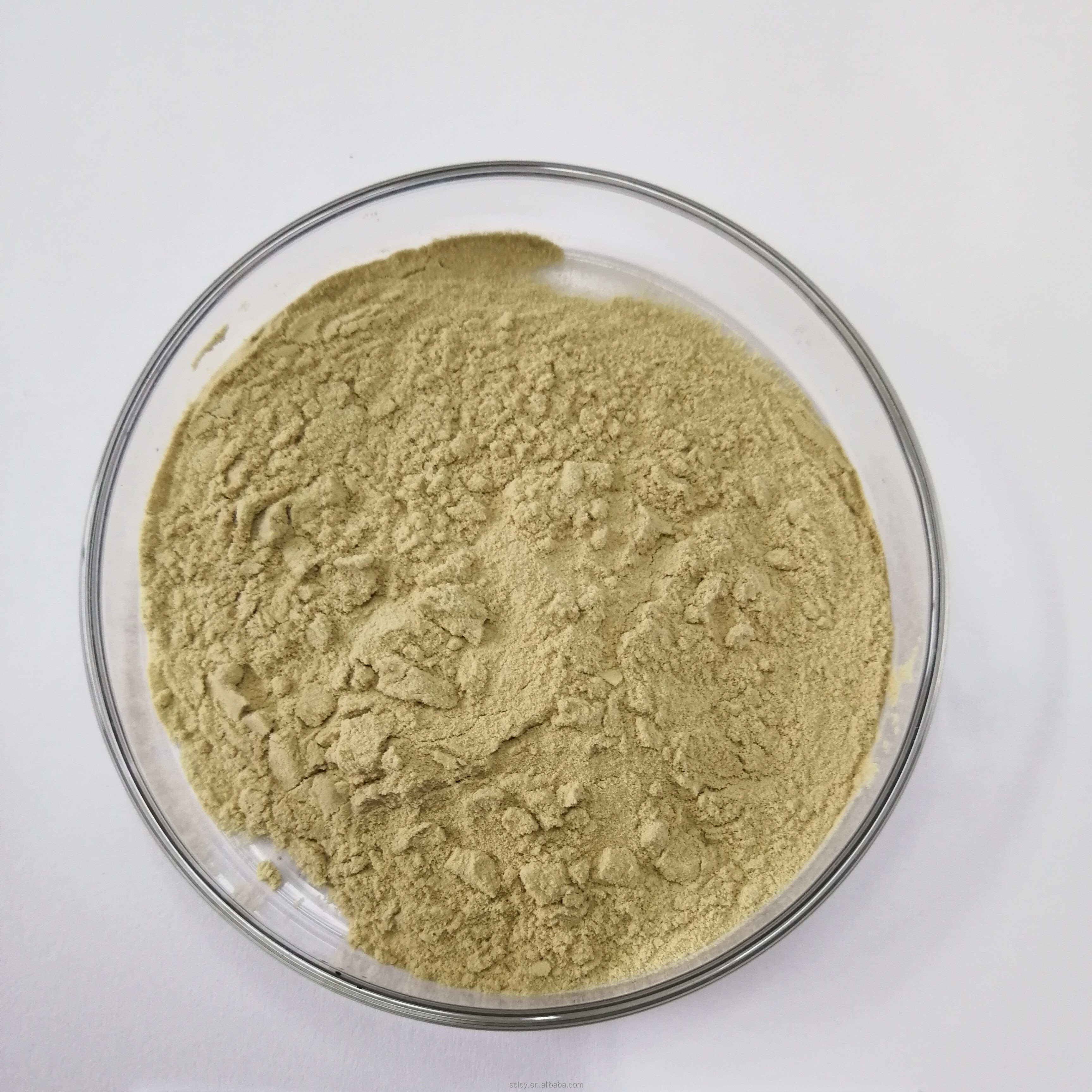 Высококачественный Bacillus Subtilis для сельского хозяйства, 100 млрд, 200