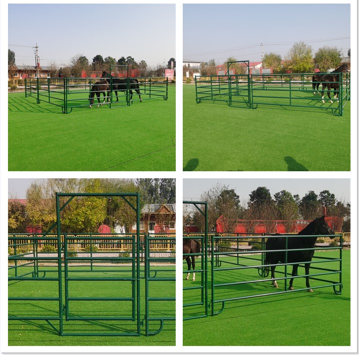 China 4/5/6 Bars Pre-galvanized Sheep Ranch Corral FenceGate Australia Galvanized Metal Livestock Cattle Yard Panel For Sale