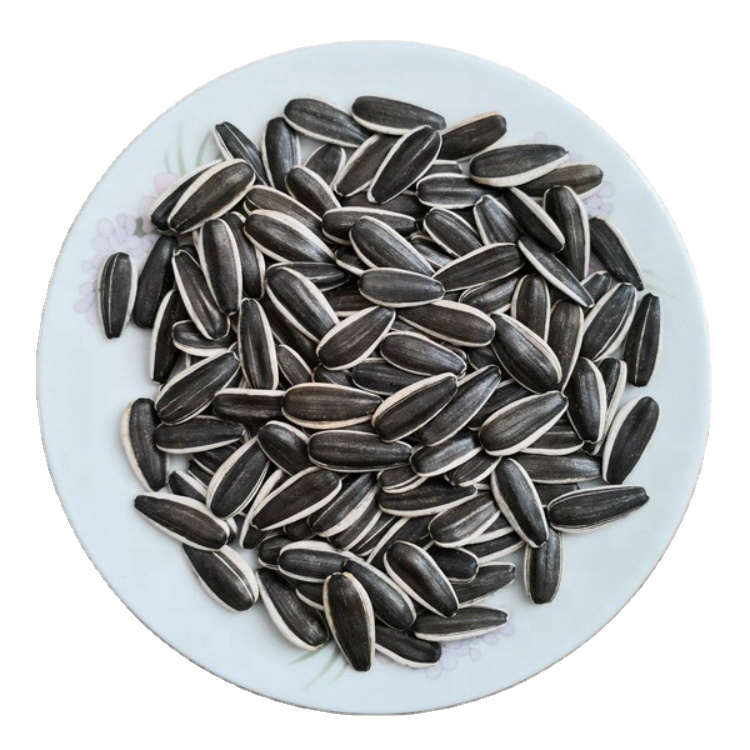 Big size wholesale Chinese sunflower seeds type 363/361/601/3638 new crop 2020