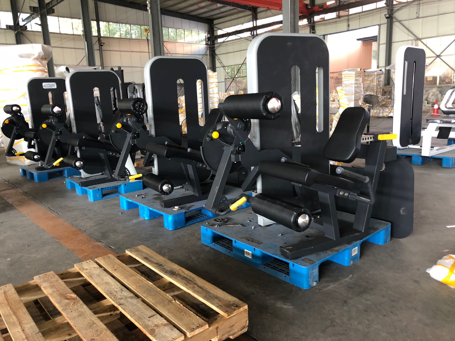 Prone leg curl workout commercial gym equipment manufacturers/muscle building machine