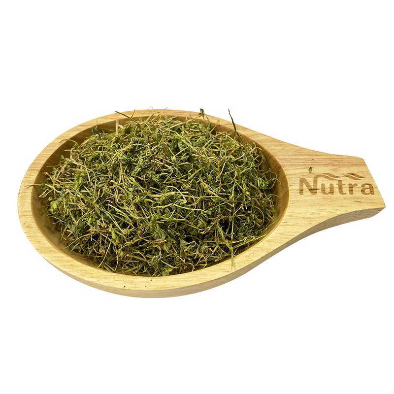 Organic Dried Eyebright Herb Cut for relieving eyestrain