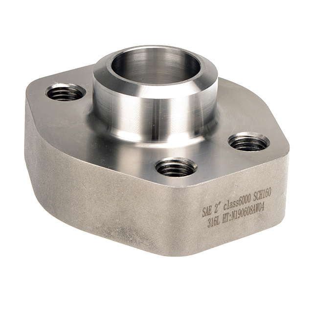 Большой размер ASME B16.5 нержавеющая сталь 316L кованый фланец