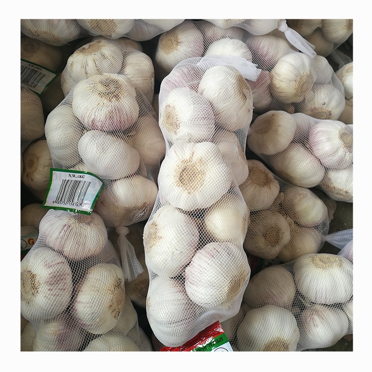 Garlic fresh normal white garlic high quality low price packing mesh net bag for wholesale garlic