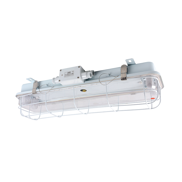 MARINE PENDANT LIGHT MARINE FLUORESCENT PENDANT LIGHT JCY23-2 JCY43-2