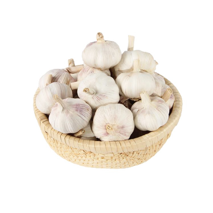 Fresh Garlic China Vegetables Exporters 4KG Bag White Garlic Export to Romania
