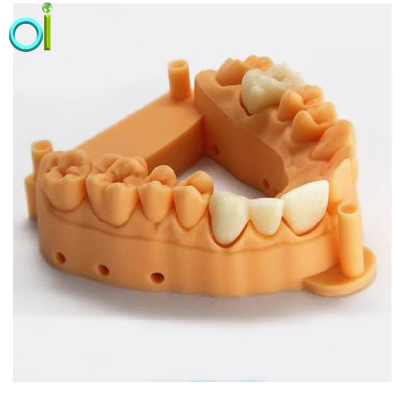New technology Customized 3D printing SLA Medical grade photosensitive resin dental equipment typodont teeth model