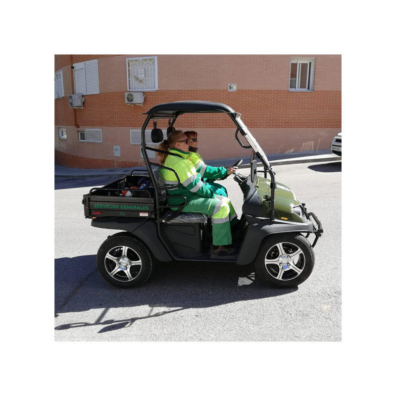 Farm Boss 2 местный 4wd 5kw бытовой Электрический utv для фермы с EEC