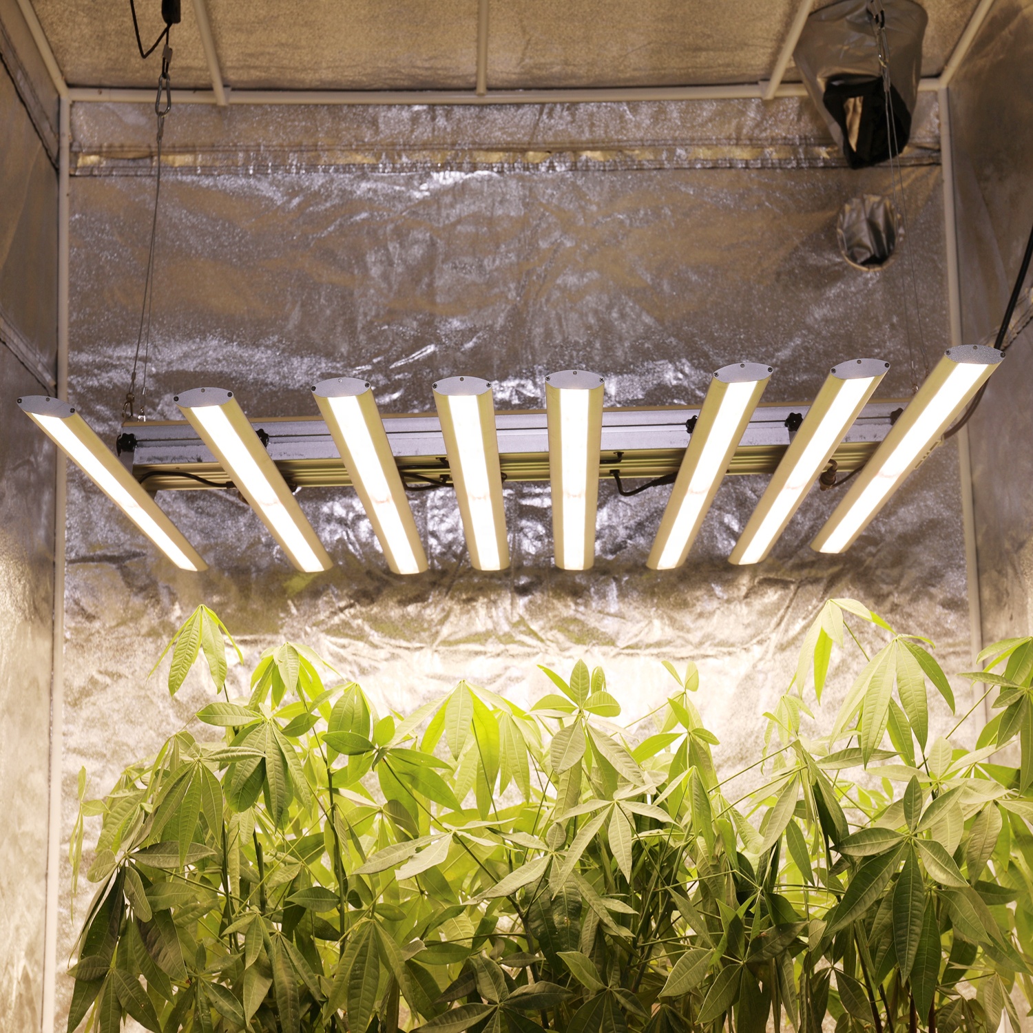 Phlizon 400w 480w 560w 640w доски led grow light баров УФ ИК Samsung lm561c lm301b