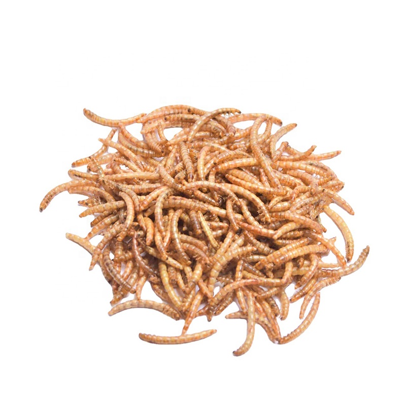 Mealworm желтый mealworm с высоким содержанием белка, птица черепаха, хомяк, специальная закуска, червь, высушенная птица, еда для голубей