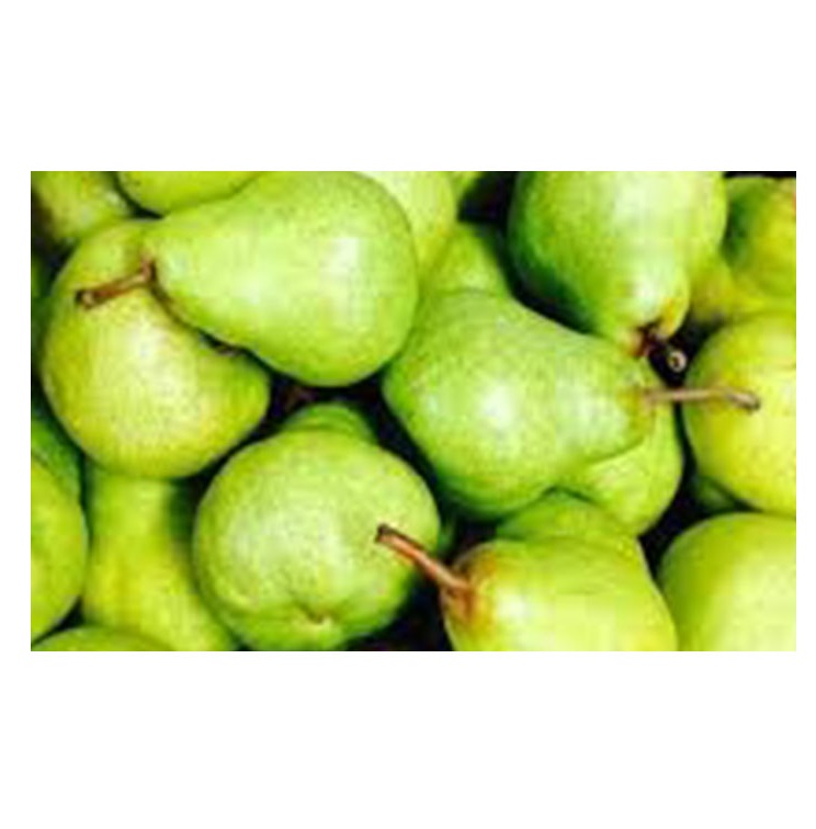 Южная Африка, супер качество, свежие PACKHAM TRIUMPH PEARS, оптовая продажа