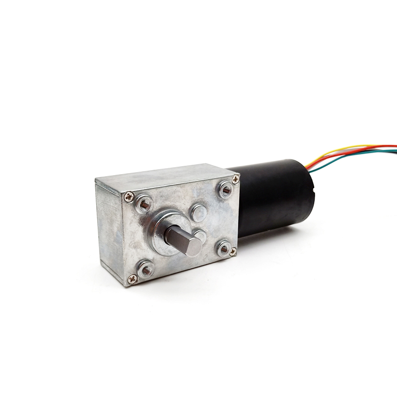 Factory price 12v 24v 4058 high torque bldc motor with gear box dc worm gear motor