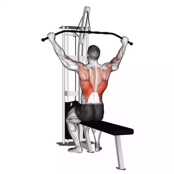 Горячая распродажа! Оборудование для тренажерного зала Lat Pulldown и строки для фитнес-центров