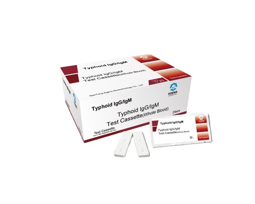 Быстрый тест Typhoid IgG/IgM
