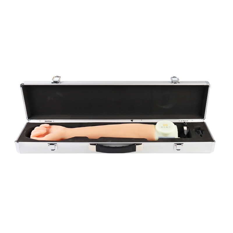 Ultrasound guided surgical training model Medical model of venipuncture arm surgery